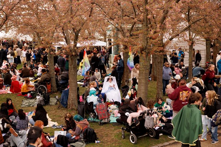 Med træernes lidt afdæmpede farver som bagtæppe kunne en hvid brudekjole lyse ekstra op.  Foto: Jacob Ehrbahn