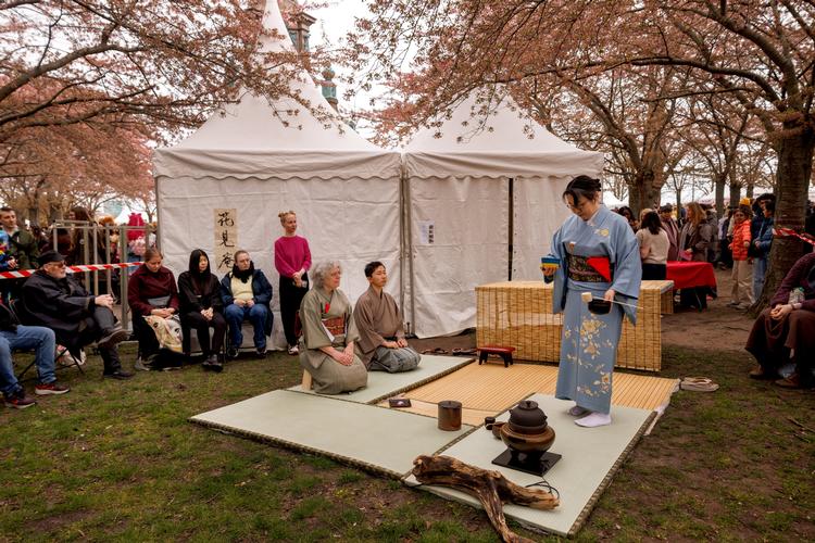 En sakurafestival lige så meget om japansk kultur som om træer. Her er det en traditionel teceremoni.  Foto: Jacob Ehrbahn