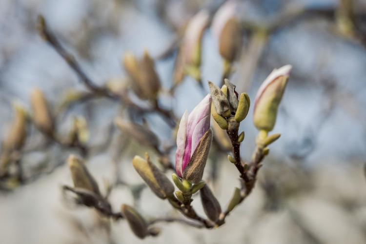 Foto: Miriam Dalsgaard