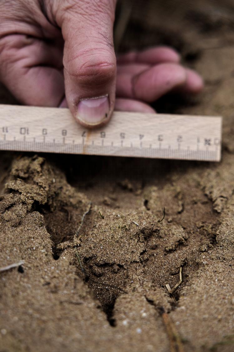 Arkivfoto.  Foto: Martin Lehmann