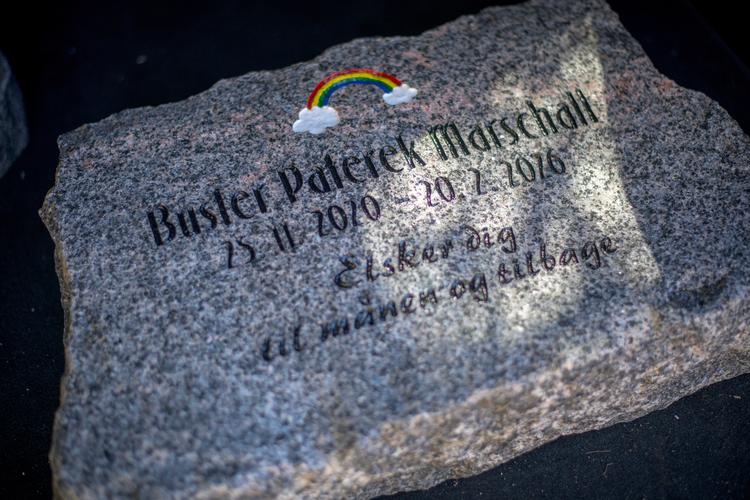 Om få dage skal Busters urne nedsættes, og gravstenen placeres. Den er lavet af bornholmsk granit og har en regnbue indgraveret. Foto: Janus Engel