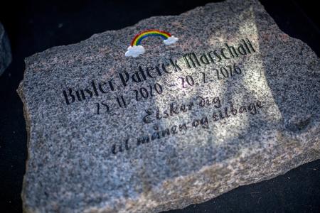 Om få dage skal Busters urne nedsættes, og gravstenen placeres. Den er lavet af bornholmsk granit og har en regnbue graveret. Foto: Janus Engel