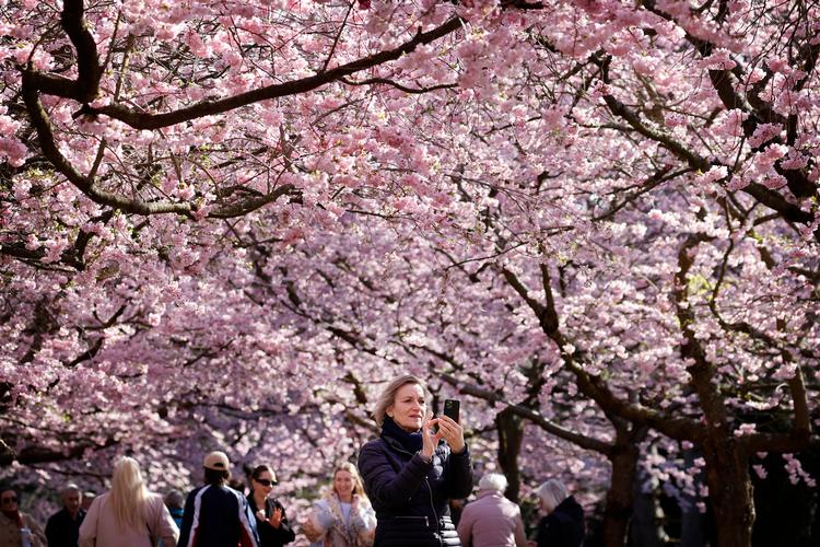 Arkivfoto:  Jens Dresling