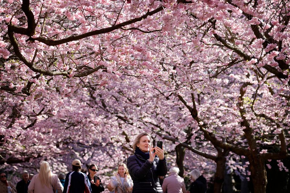 Lunt forårsvejr afløses i weekenden af køligere temperaturer