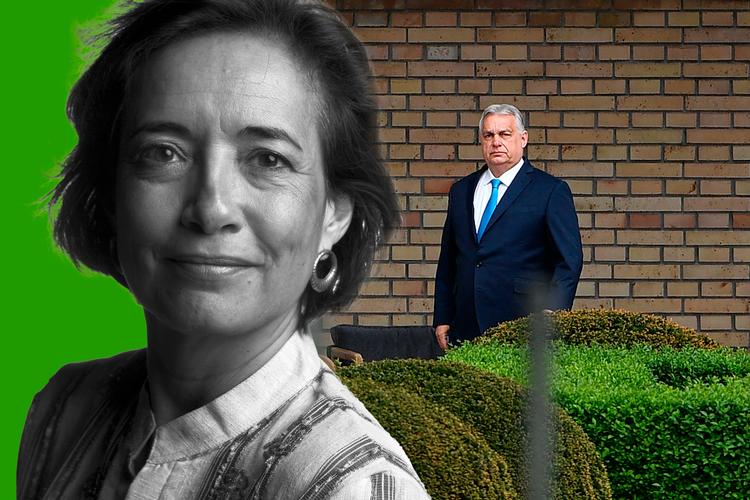 Foto: CVL. Ritzau Scanpix