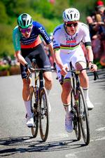 Foto: Bernard Papon/Ritzau Scanpix