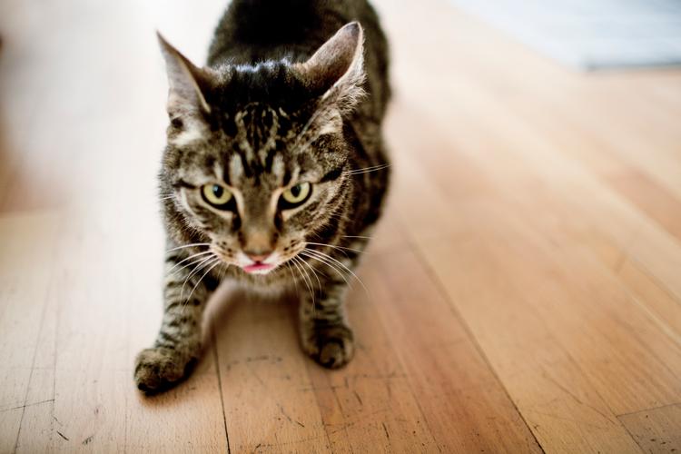 Foto: Melissa Kühn Hjerrild