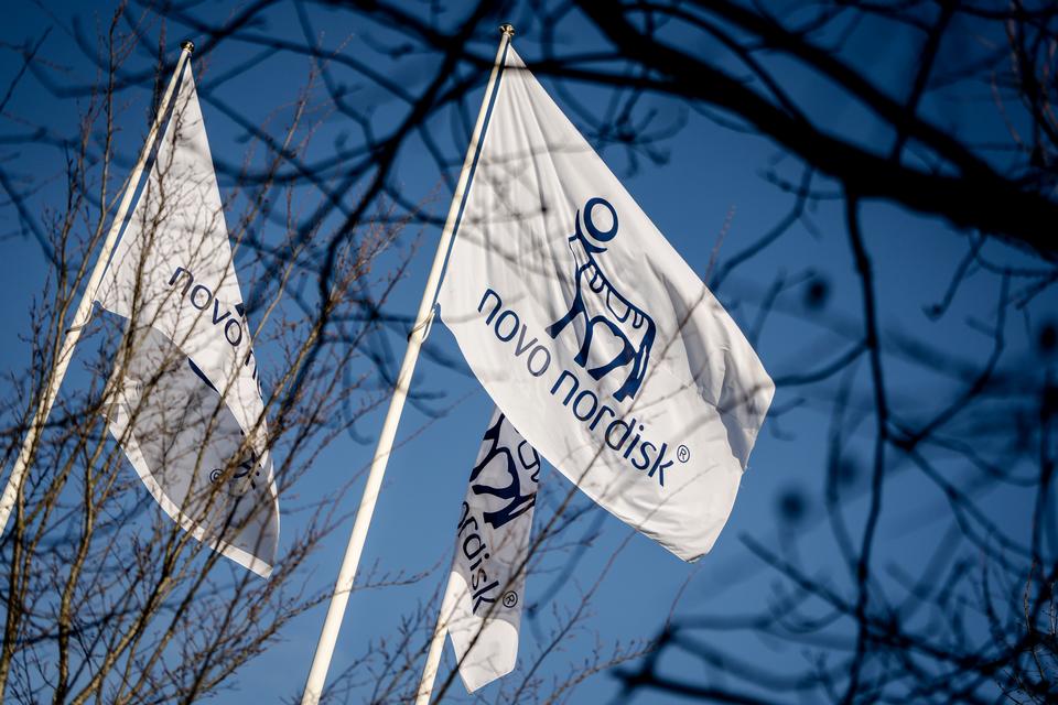 Novo Nordisk tjener 29,5 mia. kr. i første kvartal trods justeret salgsfald — image 6