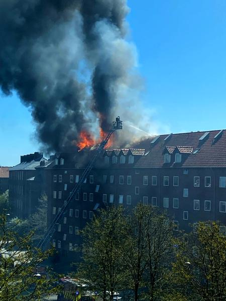 Foto: Alma Kjær Agergaard