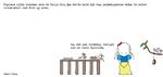 web_maren_2026-05-10