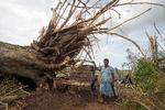 Anført af østaten Vanuatu, der er hårdt ramt af klimaforandringerne, skærper FN-lande nu klimaforpligtelserne. Foto: Handout/Ritzau Scanpix