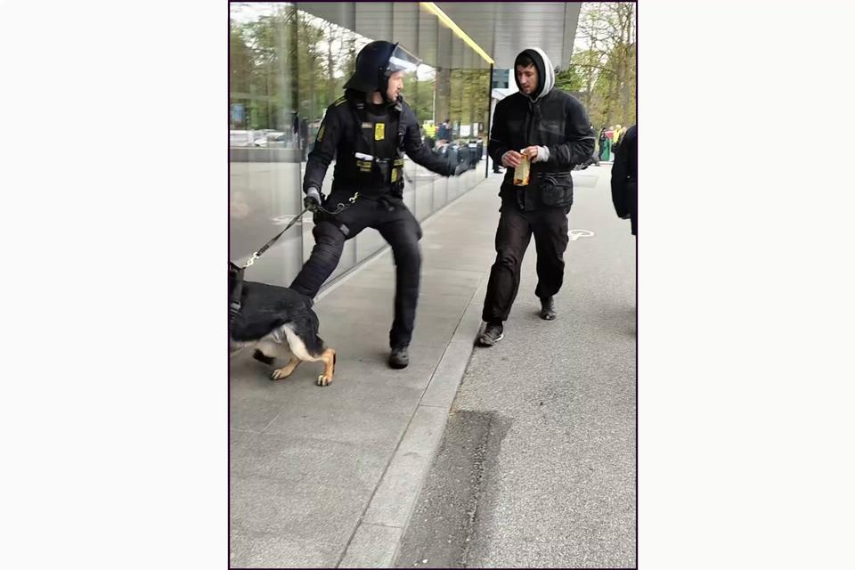 Bid og slag: Nu klager demonstranter over politiet