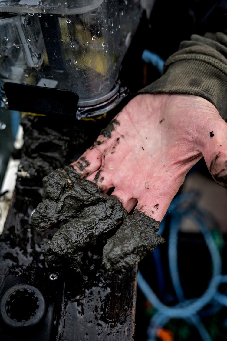 Det haster med at nedbringe udledningen af gødning, hvis bunden af de danske fjorde skal forbedres i forhold til, hvordan der så ud på bunden af Isefjord i denne uge.  Foto: Martin Lehmann