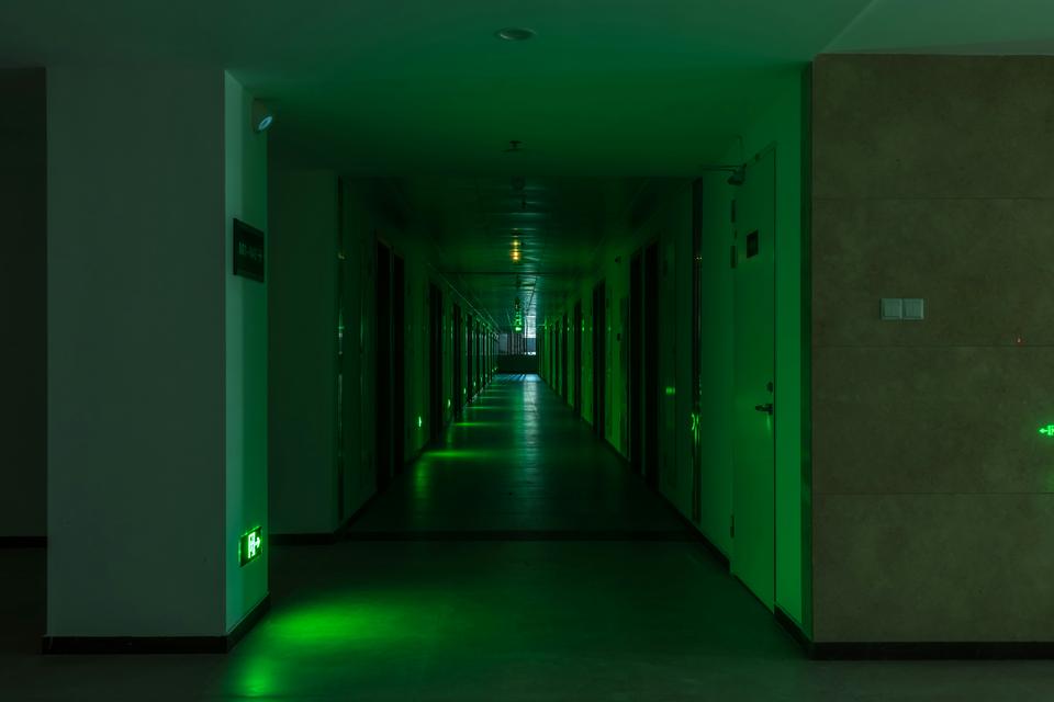Foto: Scarbor Siu/Unsplash