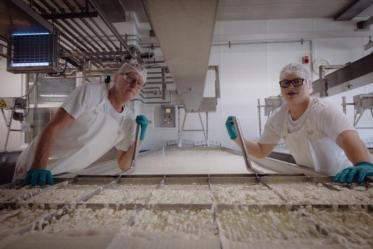Arla, der blandt andet laver oste, bliver det fortsættende selskab efter fusionen med tyske DMK Group og hollandske DOC. Foto: Martin Thomas Ford