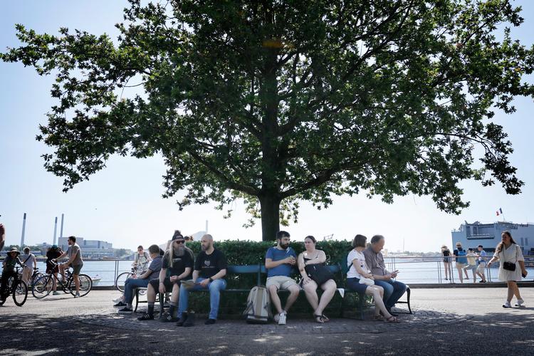 Foto: Jens Dresling