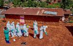 Foto: Gradel Muyisa Mumbere/Ritzau Scanpix