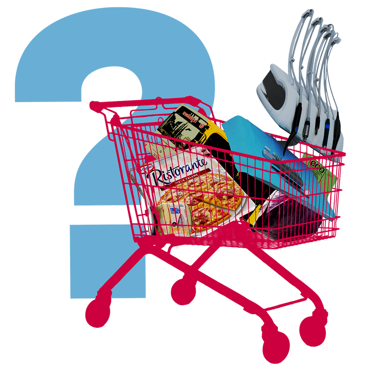 WEB_Indkøbsvognting