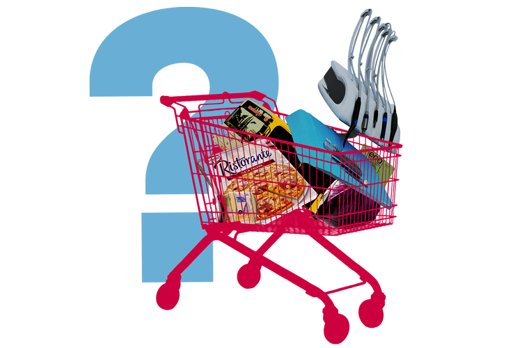 WEB_Indkøbsvognting