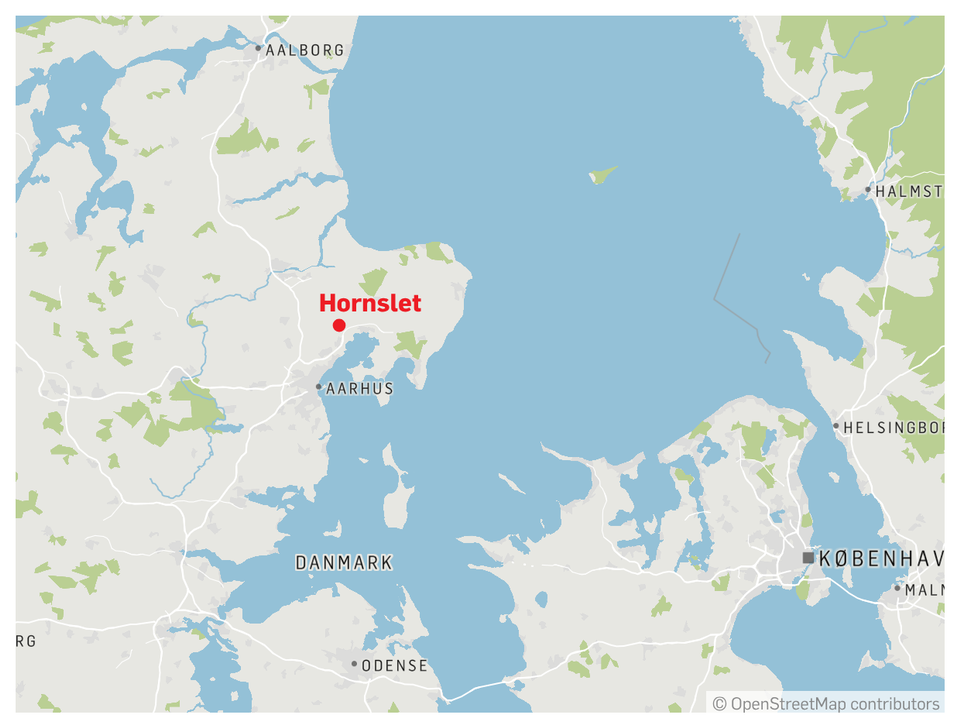 Chauffør sigtet for uagtsomt manddrab, efter at to