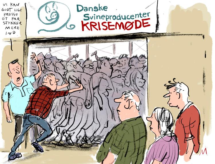 Foto: Mette Dreyer/POLITIKEN