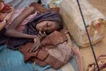MN20260518Sudan_lejr_HB0180_1