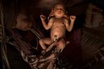 MN20260519Sudan_lejr_HB435bb 2