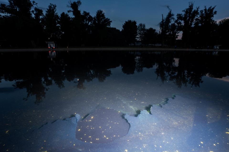 Foto: Aaron Schwartz/Ritzau Scanpix
