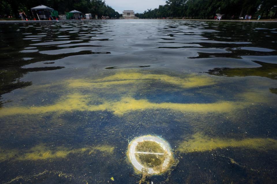 Foto: Aaron Schwartz/Ritzau Scanpix