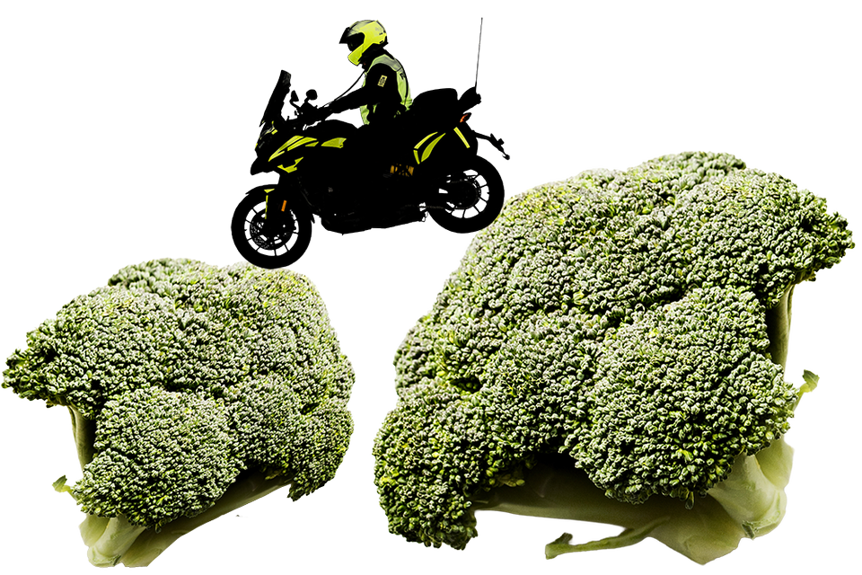 Klarlund: Det er ikke formynderi, men ren overlevelse