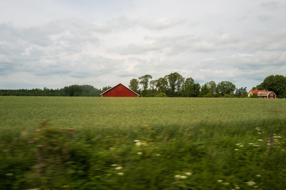 I Småland står falurøde huse spredt i landskabet. Her placerer mange svenskere deres forestilling om det enkle liv, naturen og nøjsomheden. Foto: Regitze Jørgensdatter