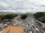 Rio de Janeiro er ramt af vilde priser for gravpladser. Faktisk findes byens højeste kvadratmeterpriser på kirkegården.  Foto: Peter Krogh Andersen/Peter Krogh Andersen