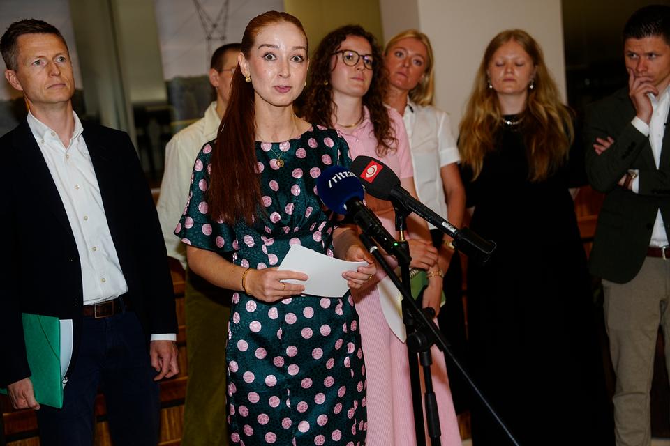Akutplan klar: Her er dem, der kommer forrest i køen på presset elnet