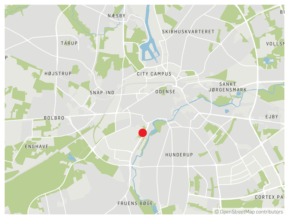Politiet søger vidner til en grov voldtægt i Odense