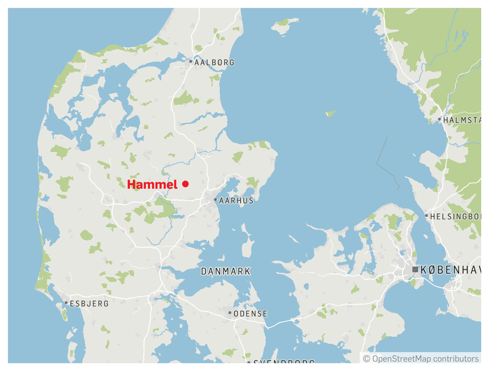 Sagsbehandler i alvorlig tilstand efter overfald på botilbud