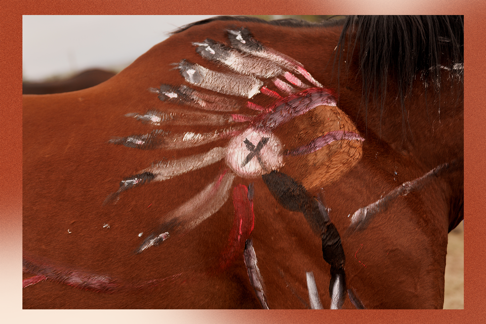 hest