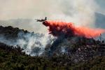 Foto: Jc Milhet/Ritzau Scanpix