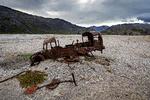 Da Politiken for nylig besøgte Grønland, kunne man tæt ved basen Bluie West One blandt andet se fem forladte køretøjer i området omkring Narsarsuaq. Foto: Martin Lehmann