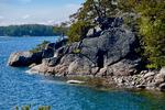 Når man vandrer på Stockholm Archipelago Trail, får man både kyst og skov. Foto: Rasmus Benzon