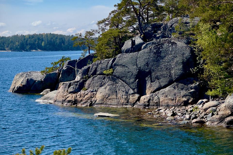 Når man vandrer på Stockholm Archipelago Trail, får man både kyst og skov. Foto: Rasmus Benzon