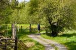 Tiden står stille på Ingmarsö. Foto: Rasmus Benzon