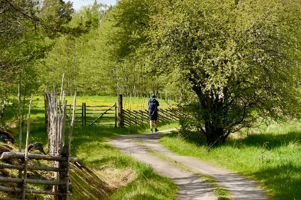 Tiden står stille på Ingmarsö. Foto: Rasmus Benzon