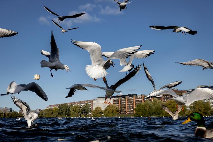 Foto: Mads Nissen