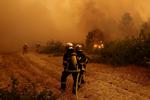 Mindst 140.000 mennesker er blevet evakueret i Gironde-regionen og i Landes-regionen, der begge ligger i nærheden af Bordeaux.  Foto: Stephane Mahe/Ritzau Scanpix
