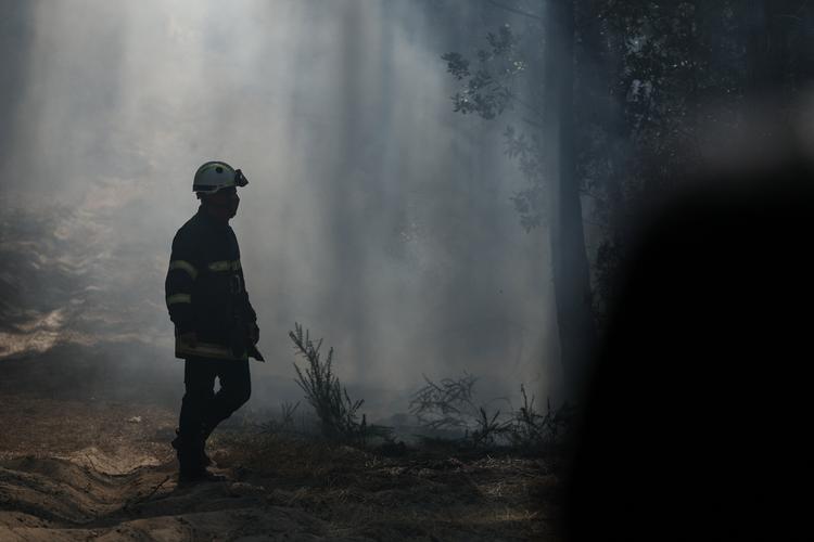 Brandene blev egentlig meldt »stabiliseret« af myndighederne tirsdag morgen, men i løbet af deagne er de flere steder blusset op igen i Gironde-departementet. Foto: Florion Goga/Ritzau Scanpix