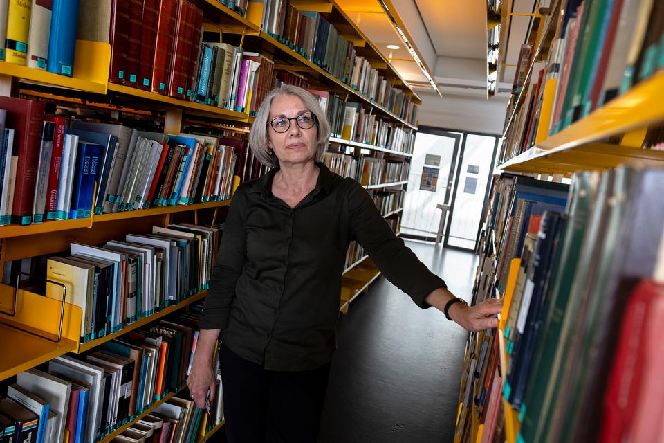 Institutleder advarer mod illusionen om engelsk