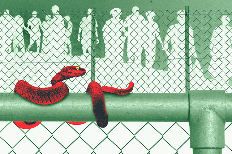 Illustration: Mads D'Alterio Djervig. Originalfoto: Pexels, Abdel Majid Bzioat / Ritzau Scanpix