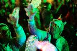 De er ikke 20 længere. Men de fester, som var de 20. Under strobelys og med masser af basarm. Den primære forskel er, at de har flere penge at fyre af, lyder det fra gæster på Smukfest.  Foto: Thomas Borberg