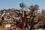 Foto: Zain Jaafar/Ritzau Scanpix