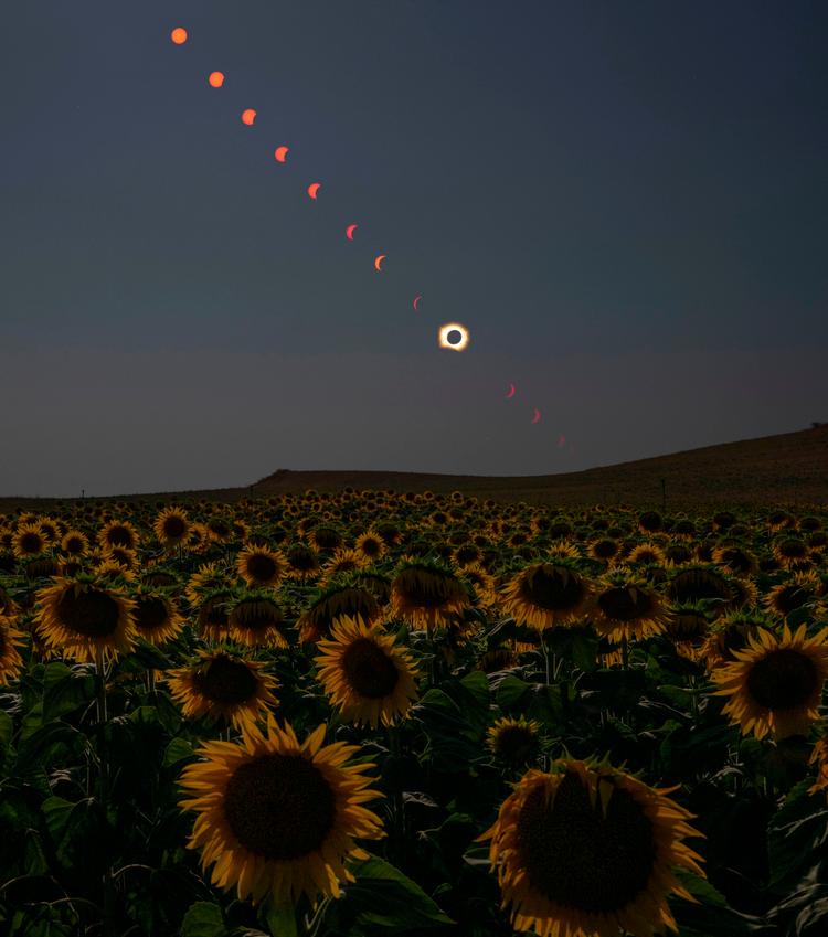 Her kan du se, hvordan solformørkelsen udviklede sig over San Millán de los Caballeros i Spanien onsdag aften. Foto: Bill Ingalls/Ritzau Scanpix
